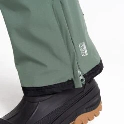 Dare 2b Dare2B, Achieve II Waterdichte Heren Skibroek, Duck Green, Maat M 18 Dare 2b Dare2B, Achieve II Waterdichte Heren Skibroek, Duck Green, Maat M -Bol Winkel 1200x1200 229