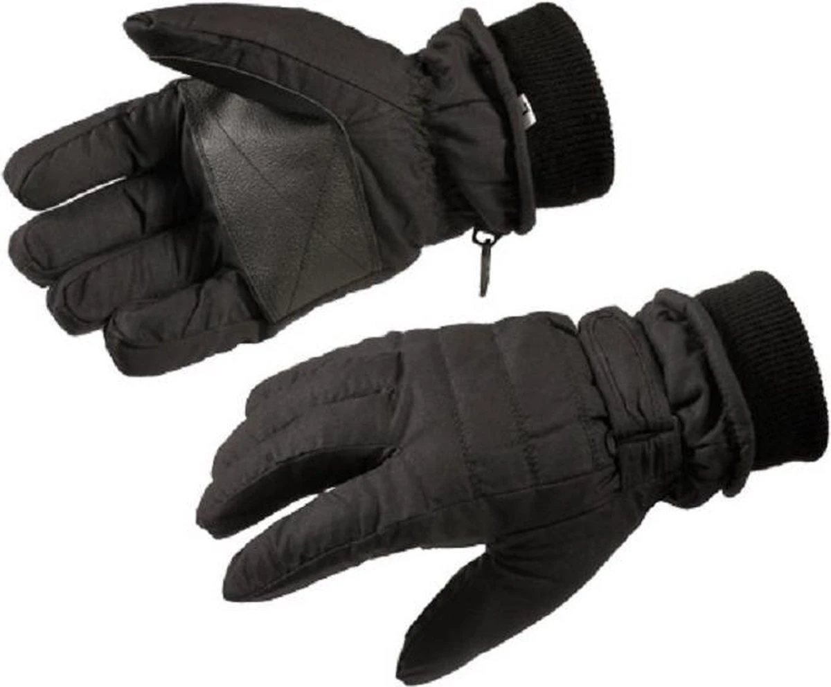 Gloves&Co Thinsulate Ski Handschoen 2.0 - Heren - Zwart - Maat L 3 Gloves&Co Thinsulate Ski Handschoen 2.0 - Heren - Zwart - Maat L