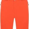 Dare 2b Dare2B, Achieve II Waterdichte Heren Skibroek, Oranjerood, Maat S 1 Dare 2b Dare2B, Achieve II Waterdichte Heren Skibroek, Oranjerood, Maat S -Bol Winkel 328x1200 1